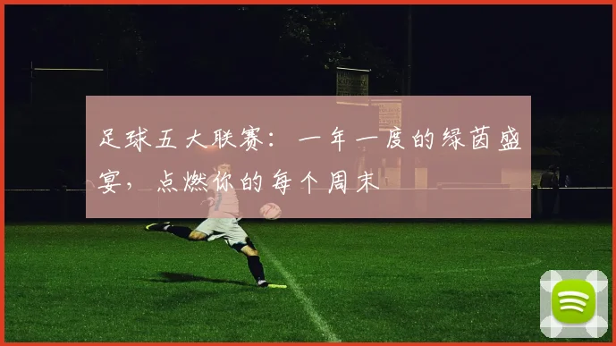 足球五大联赛:一年一度的绿茵盛宴,点燃你的每个周末