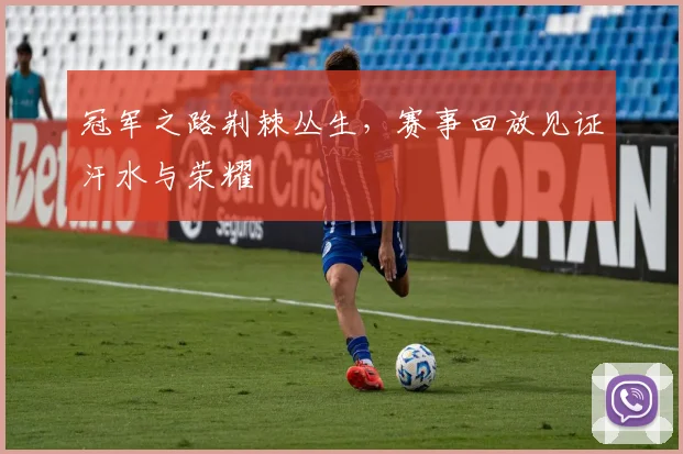 冠军之路荆棘丛生,赛事回放见证汗水与荣耀