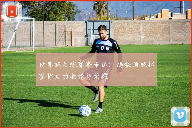 世界级足球赛事专访：揭秘顶级杯赛背后的激情与荣耀