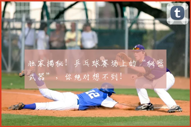 独家揭秘!乒乓球赛场上的“秘密武器”,你绝对想不到!