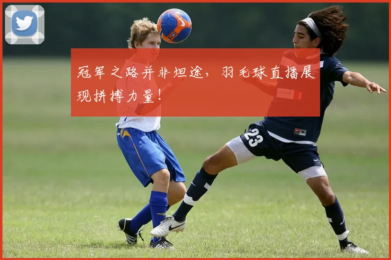 冠军之路并非坦途,羽毛球直播展现拼搏力量!