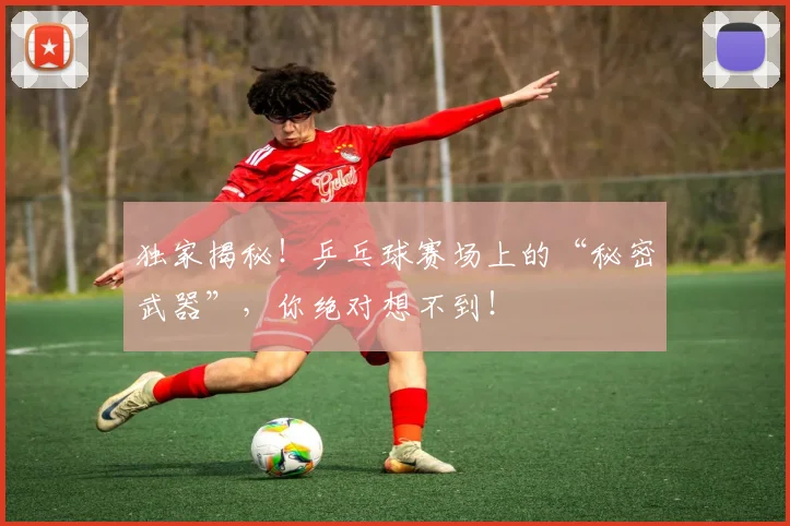 独家揭秘！乒乓球赛场上的“秘密武器”，你绝对想不到！